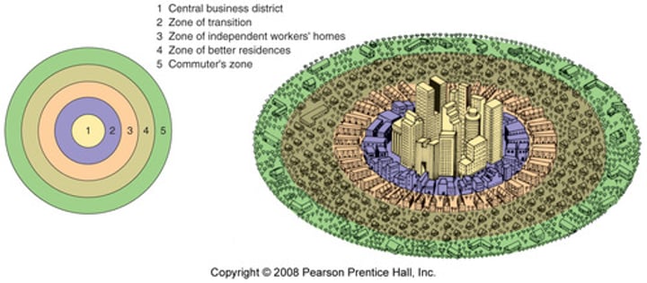 <p>This model was devised in the 1920s by Ernest Burgess to predict and explain the growth patterns of North American urban spaces. Its main principle is that cities can be viewed from above as a series of concentric rings; as the city grows and expands, new rings are added and old ones change character. Key elements of the model are the central business district and the peak land value intersection.</p>