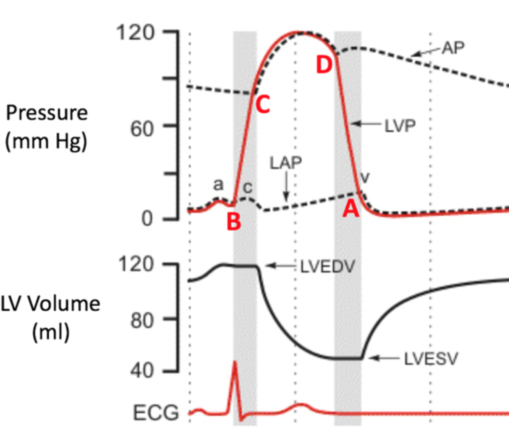 <ol><li><p>Total volume of blood in ventricles at end of filling</p></li><li><p>DIASTOLE</p></li></ol>