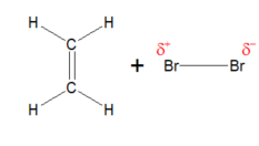 <ul><li><p>c=c double bond in ethane has a high concentration of negative charge</p></li><li><p>As the Br₂ approaches the ethene, the electrons are repelled away from the ethene, polarisation the b₂</p></li></ul><p></p>