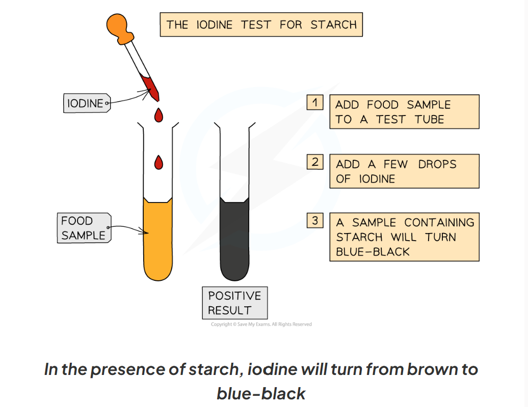 knowt flashcard image