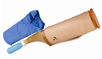 <p>What type of animal would use this AV?</p>