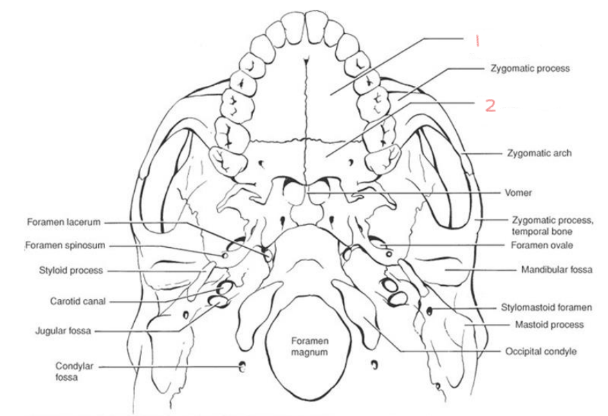 <p>1</p>