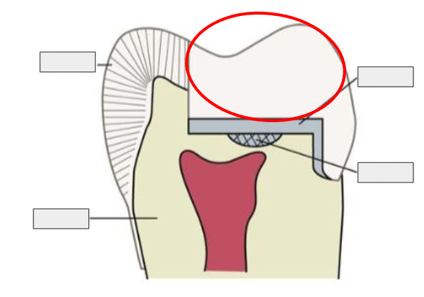 <p>What is this?</p>