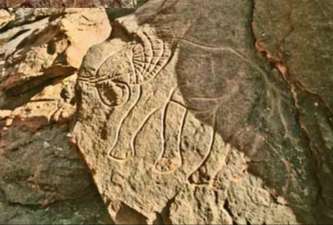 <p>Period: Prehistoric Cave Art (Large Wild Fauna Period)</p><p>Location: Tassili n’ Ajjer, Algeria</p><p>Dates: 12,000<sub>BCE</sub> - 1,000<sub>BCE</sub></p><p>Medium: engraved sandstone</p>