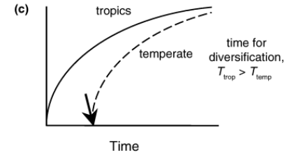 <ul><li><p>Tropical climates are older, providing more time for speciation</p></li><li><p>Non-equilibrium/historical model</p></li><li><p>Mittlebach et al 2007</p></li></ul><p></p>