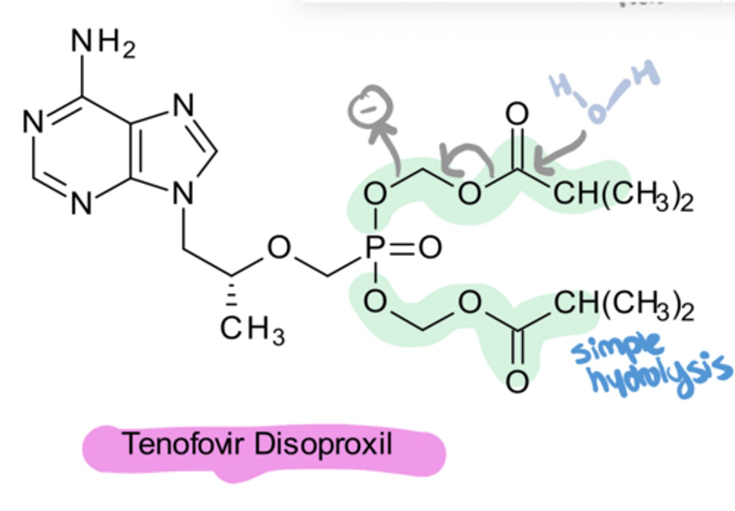 <p>Tenofovir Disoproxil undergoes an initial hydrolysis of 2 ___ to form tenofovir</p>