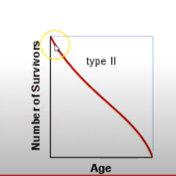 Survival is likely throughout all stages of life.
-birds, predated upon when young and when mature.