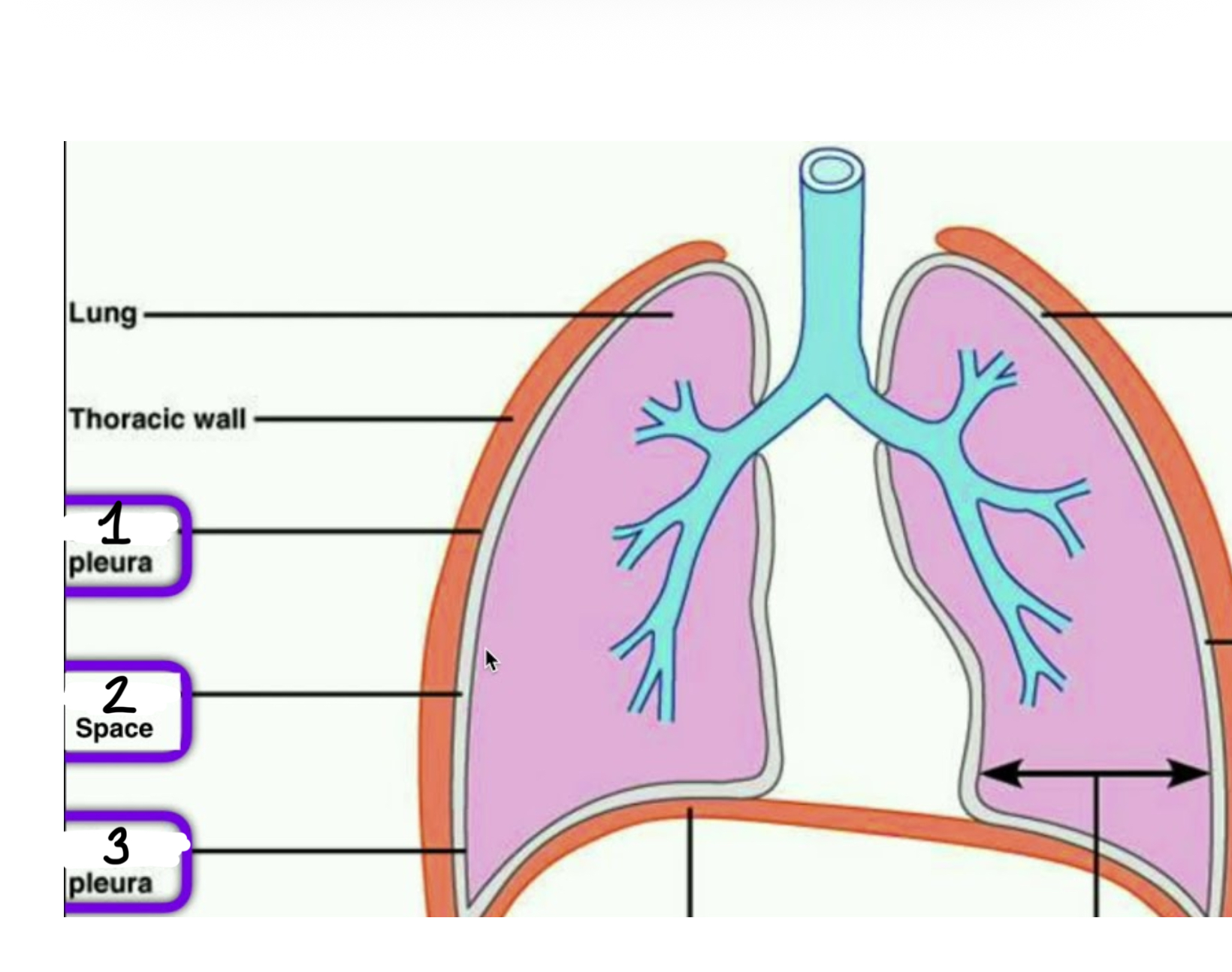 <p>What’s 1 2 3</p>