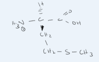 <p>What amino acid is this?</p>