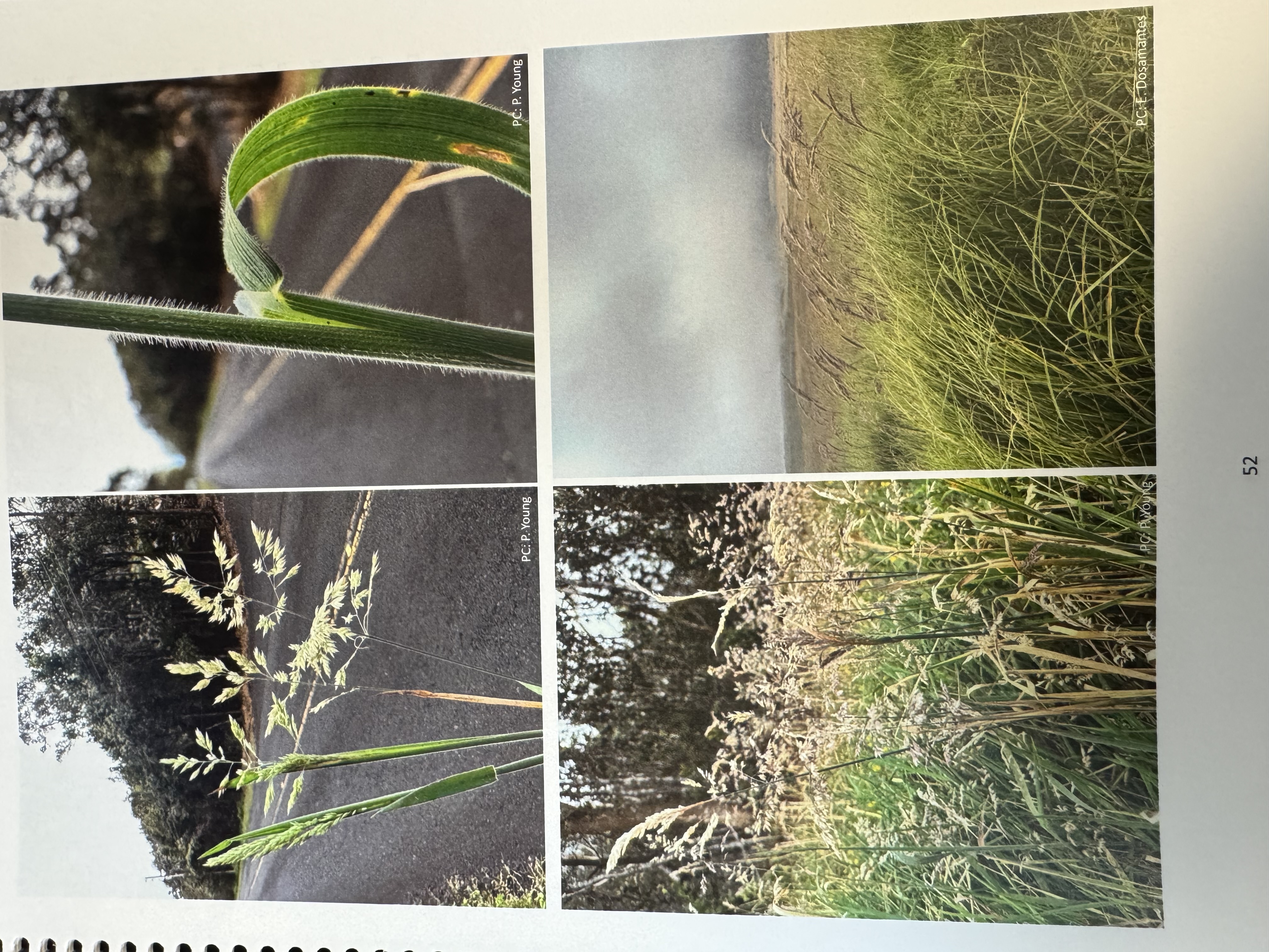 <img src="blob:null/5c84ca4b-0032-4df2-9527-633f0f53fd38"><p></p>