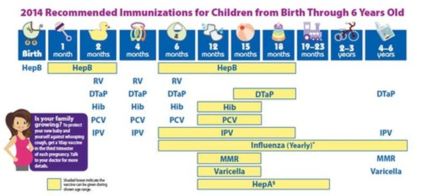 <p>American academy of pediatrics, family physicians, and immunization recommendations</p>