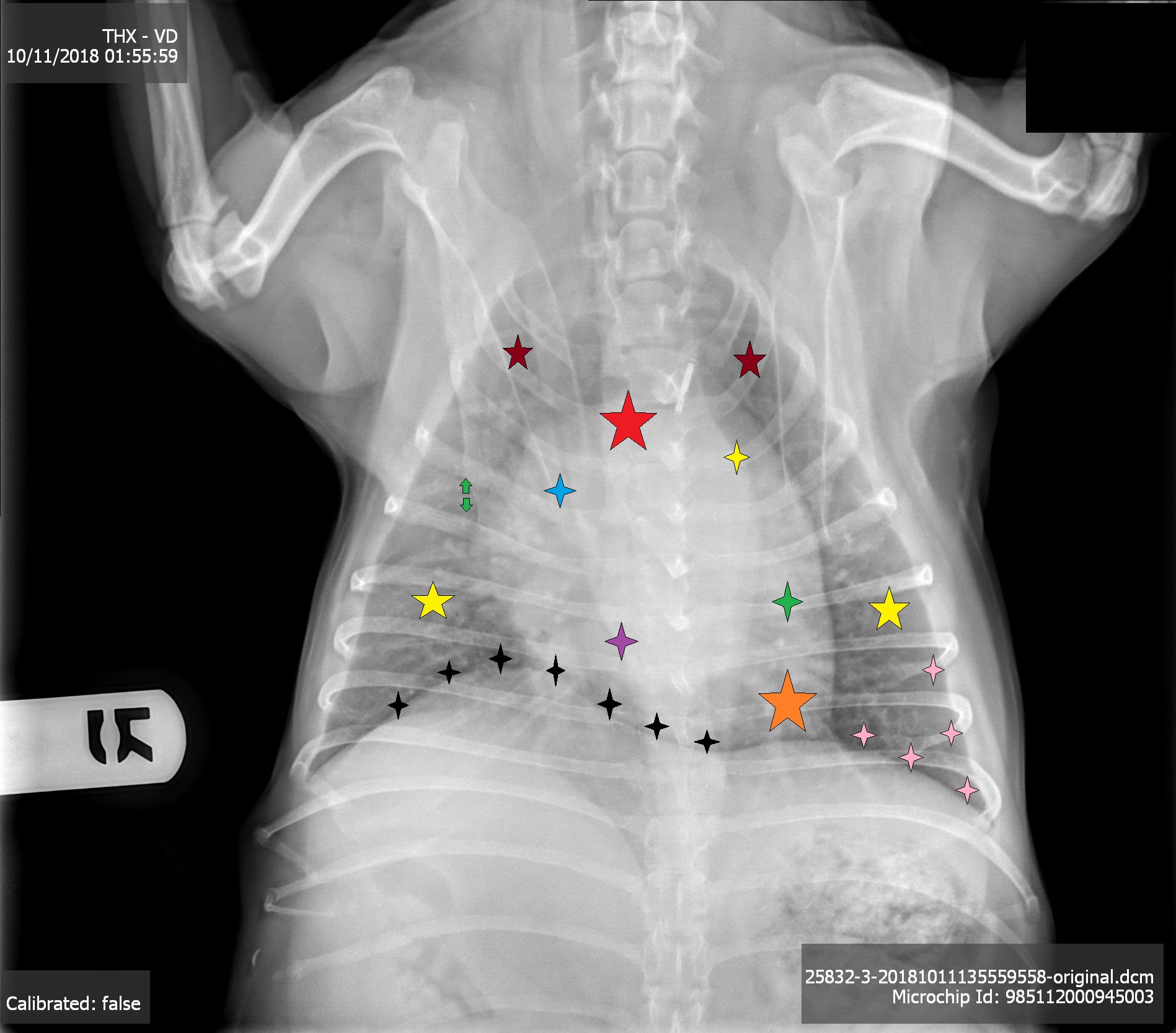 <p>Green asterisk</p>