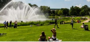 <p><span style="color: blue;">der Park</span></p>