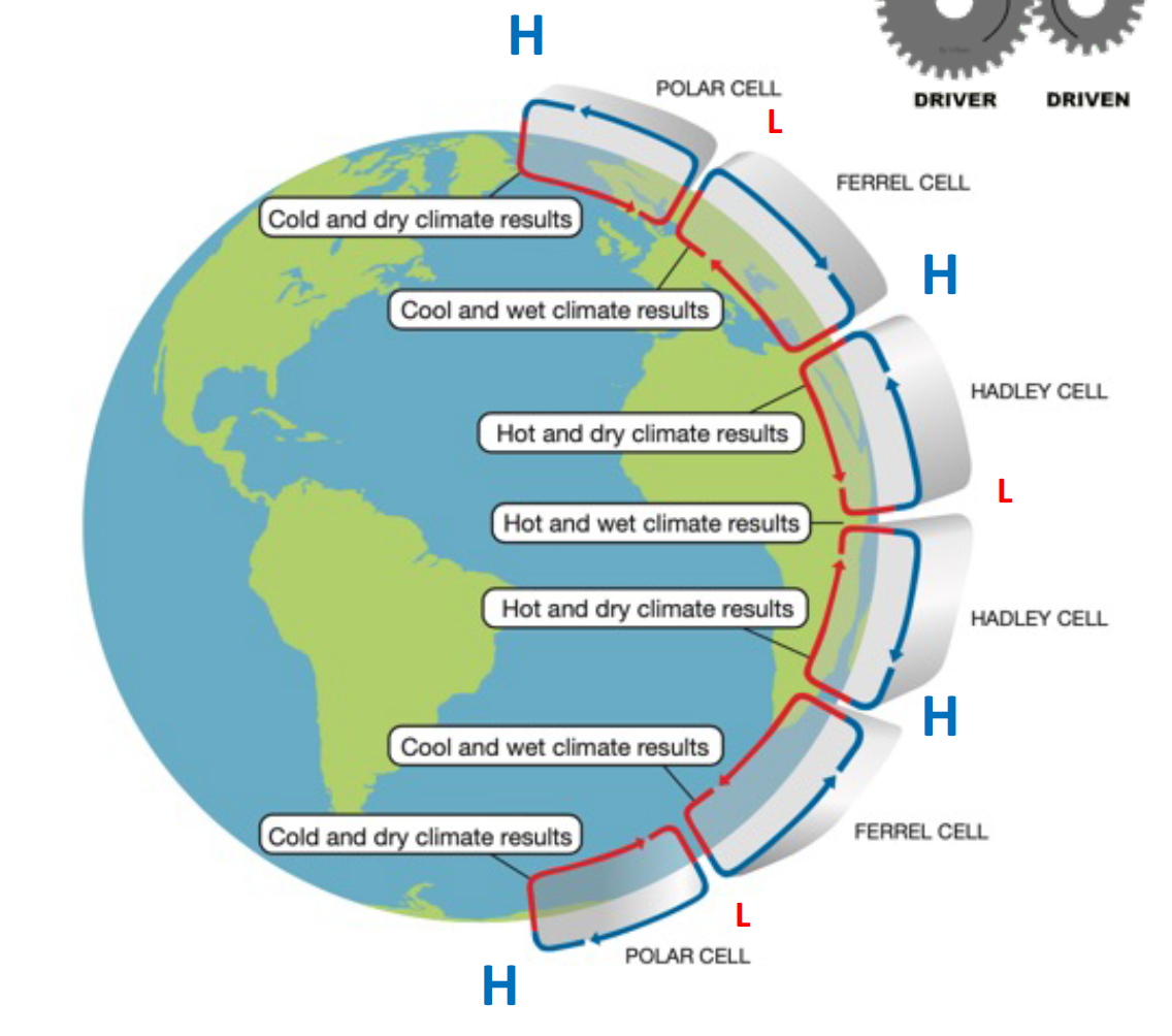 <p>hadley cell- 0 and 30</p><p>ferrel cell - 30 and 60</p><p>polar cell- 60 and 90</p><p></p><p>low pressure = rain</p><p>high pressure= dry = air moving back down towards surface</p><p></p>