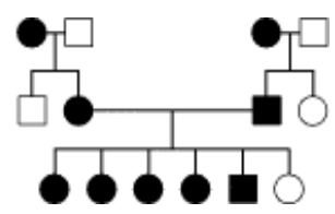 The trait found in the individuals is represented by the shaded symbols. Which of the following patterns of transmission for this gene is/are consistent with this pedigree? 

a. autosomal recessive 

b. autosomal dominant 

c. X-linked recessive