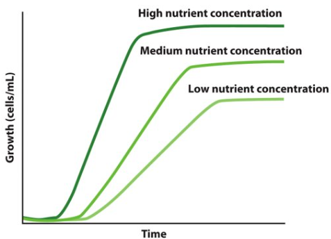 <p>The growth rate is dependent on the amount of nutrients available. Key nutrient available in the lowest amount will limit growth.</p>