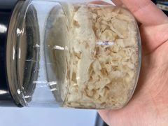 <p>What is the genus species of this tapeworm? Its definitive host is cattle, and its intermediate host is grain mites</p>