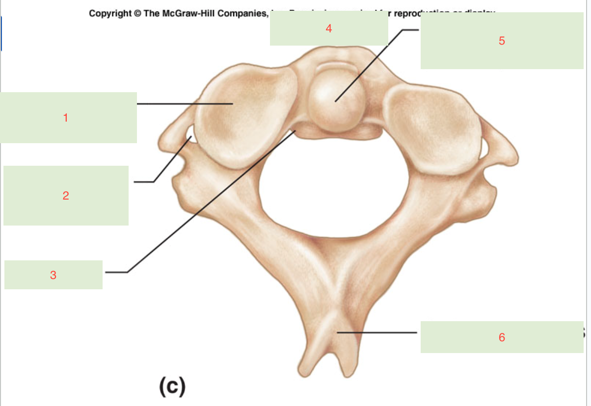 <p>1</p>