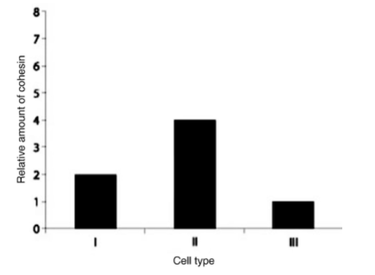 <p><span><span>Which sample is consistent with a cell that is in metaphase I?</span></span></p>