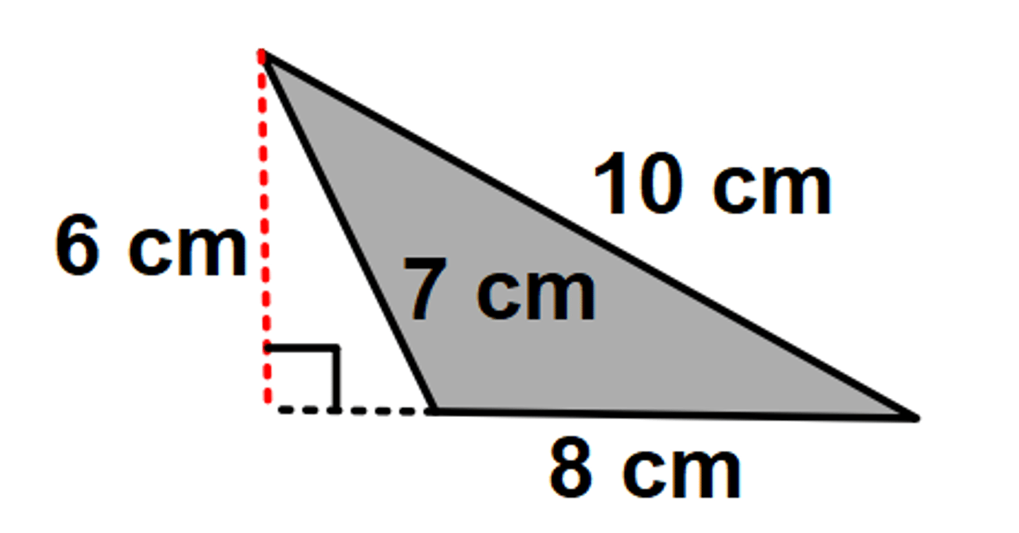 <p>Find the area of the polygon.</p>