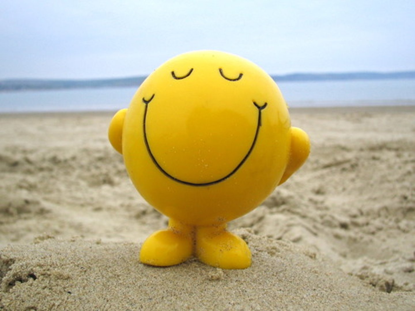 <p>You are happy</p>