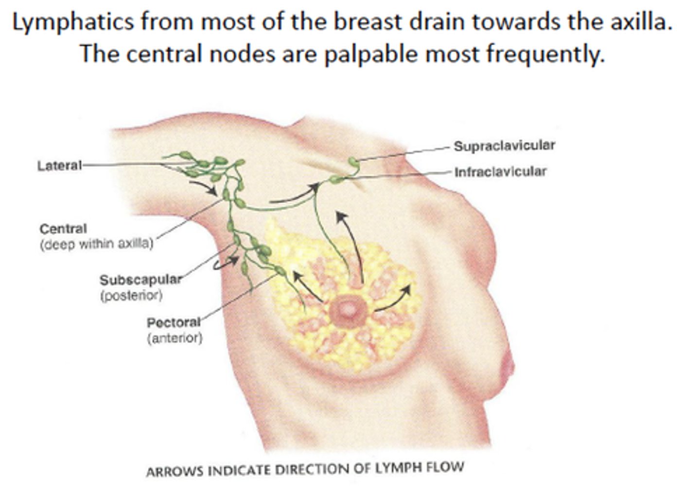 <p>Interstitial fluid that has entered initial lymphatic vessels</p>