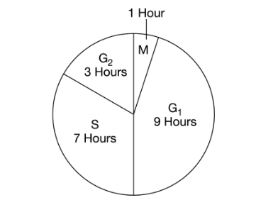 <p><span>Based on the figure above, what percent of the time required to complete a full cycle do the cells typically spend in interphase?</span></p><p><span>A. 5%&nbsp;</span></p><p><span>B. 35%&nbsp;</span></p><p><span>C. 50%&nbsp;</span></p><p><span>D. 95%</span></p>