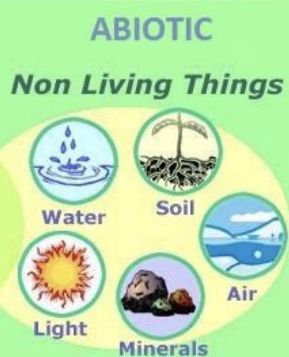 The non living components of an environment

ex. carbon, water, nitrogen, dirt etc.