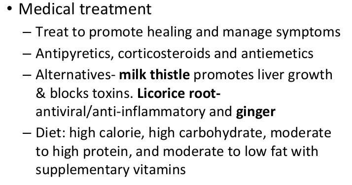 <ul><li><p>rest</p></li><li><p>anti-emetics, steroids, anti-pyretics</p></li><li><p>low fat and high protein (unless ammonia high)</p></li><li><p>avoid alcohol and tylenol</p></li><li><p>avoid sharing razors, toothbrush</p></li><li><p>protected sex</p></li></ul><p></p>