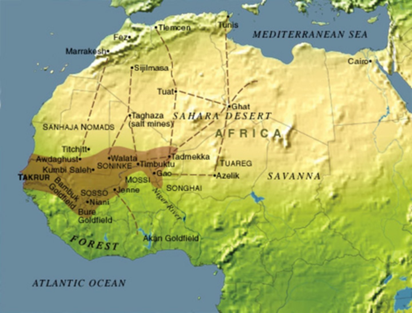 <p>a West African empire that conquered Mali and controlled trade from the into the 16th century; eventually defeated by the Moroccans who were broke after fighting with Portugal</p>