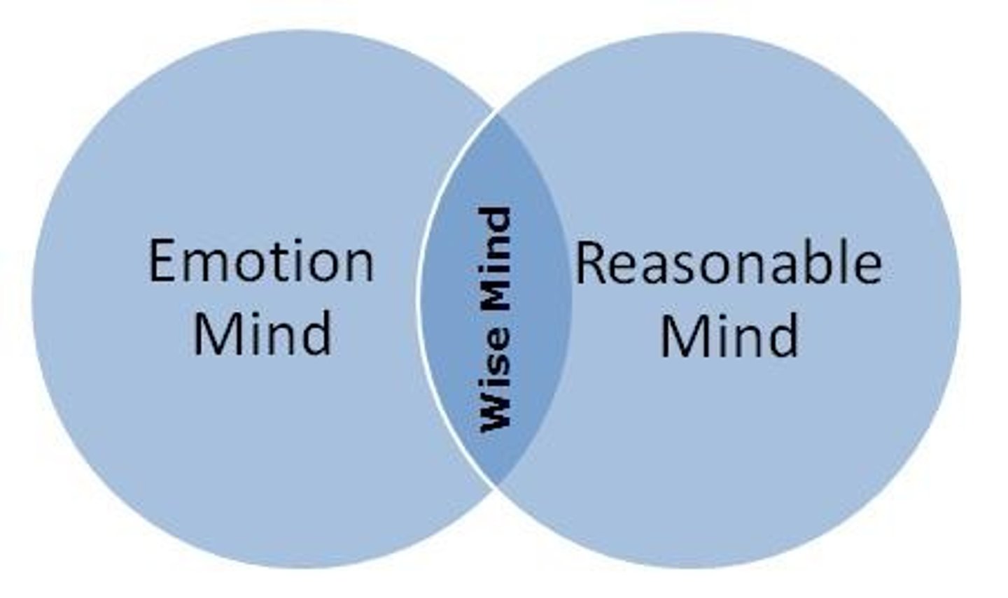 <p>focus is on getting people to accept who they are regardless of whether it matches their ideal</p>
