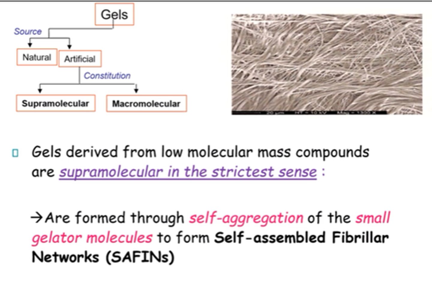 <p>Self-Assembled Fibrillar Networks.</p>