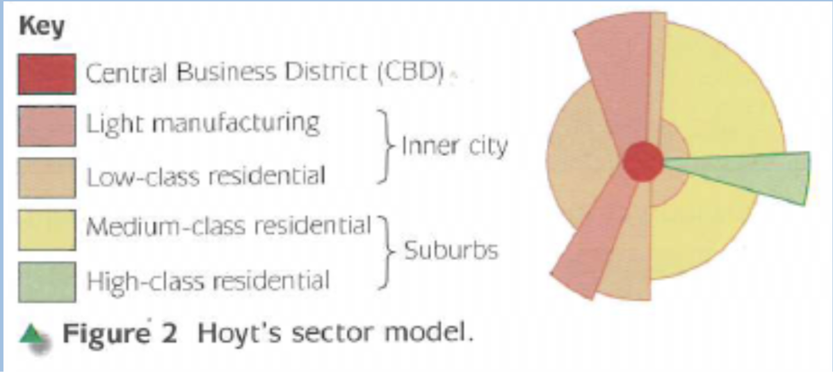 <ul><li><p><span>After the development of public transport systems and an increase in the use of cars</span></p></li><li><p><span>CBD remained central</span></p></li><li><p><span>Transport routes became more important when locating industry</span></p></li><li><p><span>Industry sectors (or wedges) extended along major transport routes</span></p></li><li><p><span>Low-class housing followed this pattern as workers needed to be closer to their workplaces</span></p></li></ul><p></p>