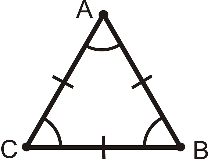 <p></p>
