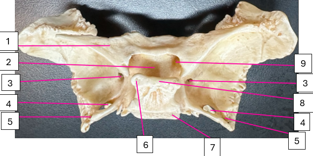 <p>1</p>
