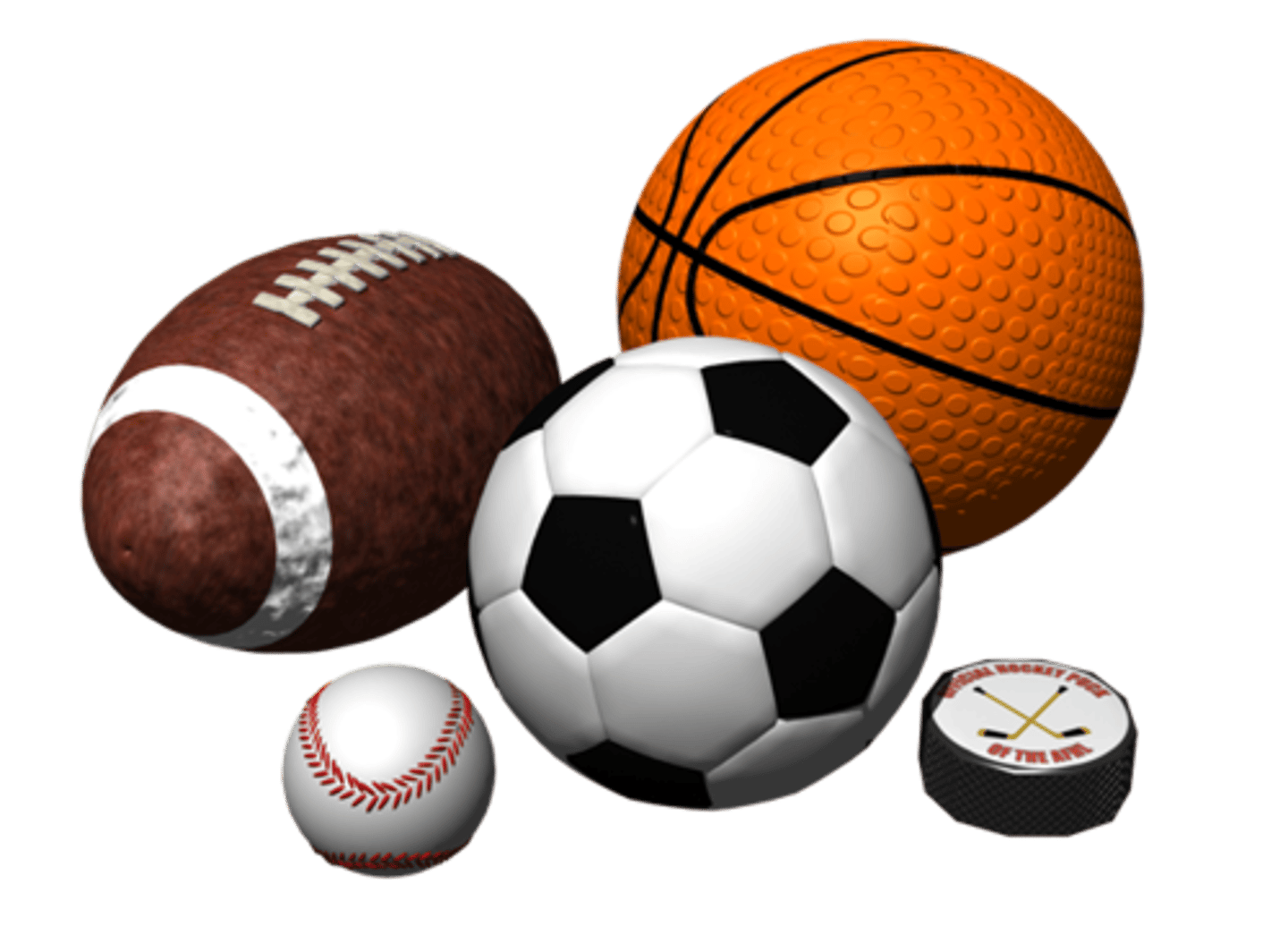 <p>the sports</p>