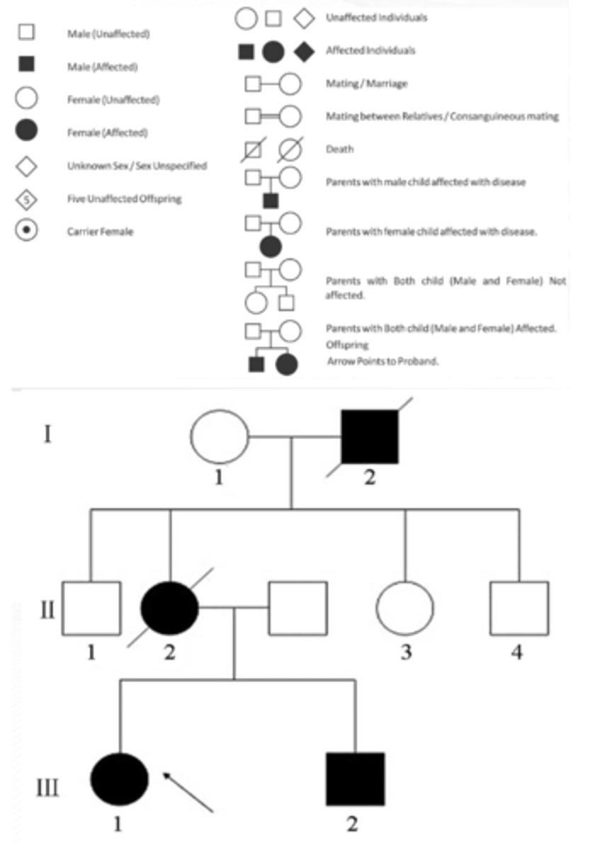 <p>Family tree, with standard genetic symbols</p><p>Shows inheritance patterns</p>