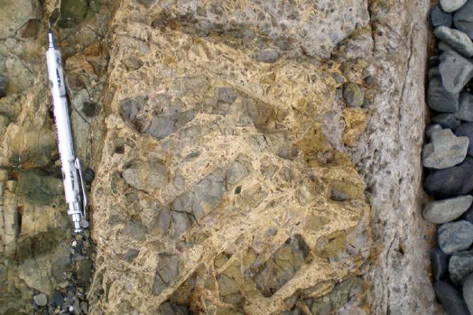 <p>Identify the metamorphic rock</p>