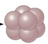<p>Name of this cocci arrangement</p>