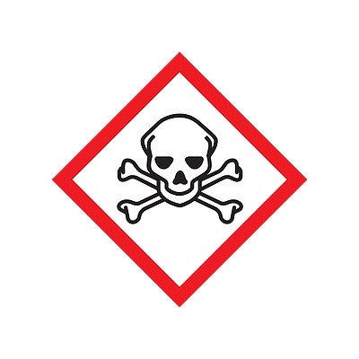 <p>Skull and Crossbones</p>
