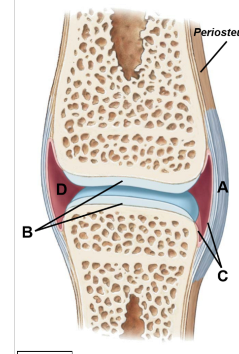<p>A-D</p>