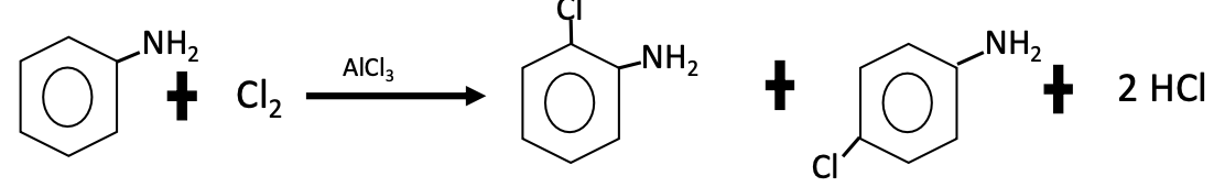 <p>o-chloroaniline, p-chloroaniline</p>