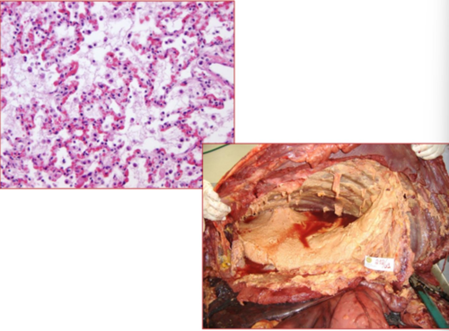 <p>What is this?</p>