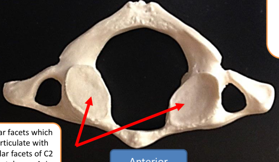 <p>What view is this?</p>