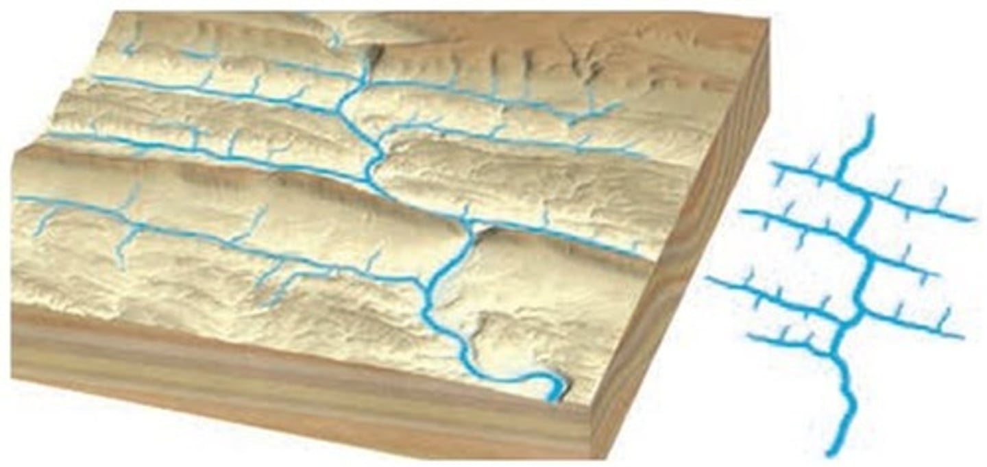 <p>substrate with parallel ridges/valleys from folding</p>