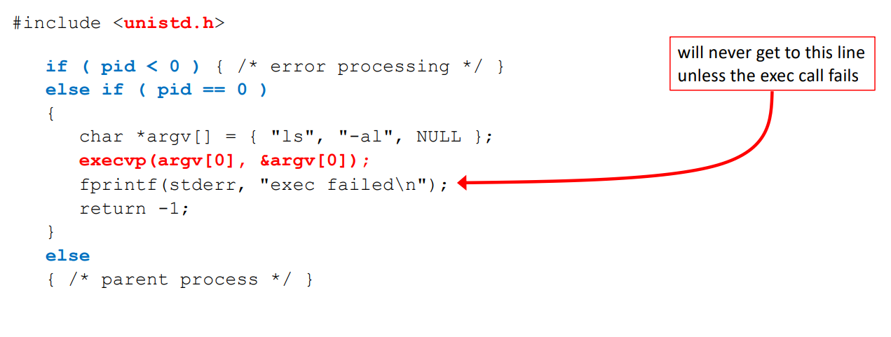 A process can replace itself by using one of the *exec* functions which is a wrapped for *execve.*