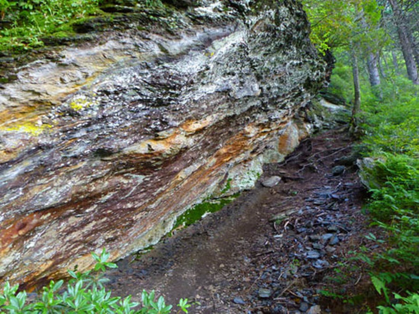 <p>This is a physical cause of flooding; it is a type of rock that does not allow percolation so increases surface run off.</p>