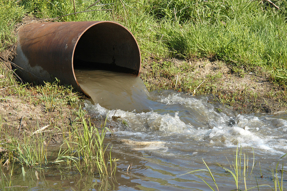 <p>Give three reasons why Environmental scientists are concerned about wastewater as a pollutant.</p>