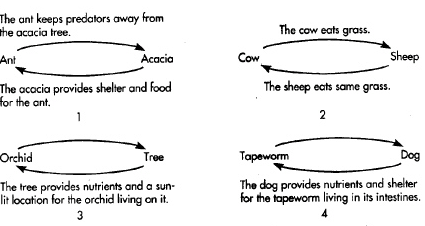 <p>Refer to the illustration above. The relationship shown in Diagram “2” above is</p>