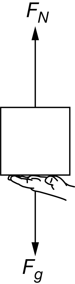 The diagram above represents the forces exerted on a box that a child is holding. Fn represents the force applied by the child's hand, and Fg represents the weight of the box. The child begins to raise the box with increasing speed. Which of the following claims about force Fh that is exerted by the box on the child's hand as the box is being raised?
